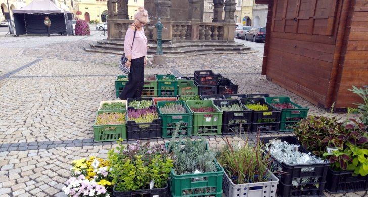 sobota farmarska slavnot zatec.jpg